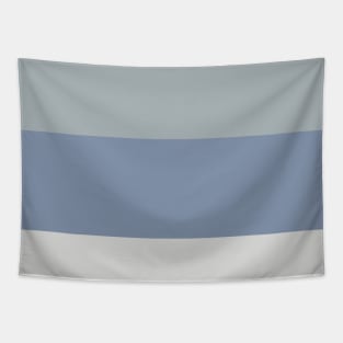 A surprising merger of Dark Grey Blue, Christmas Silver, Philippine Silver and Gray-Blue stripes. Tapestry