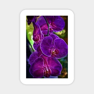 Purple Impasto Orchids Magnet