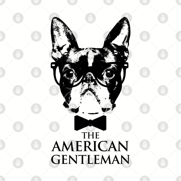 Boston Terrier  - The American Gentleman by Nartissima