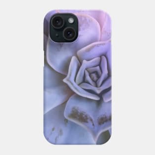 Echeveria succulent plant Phone Case