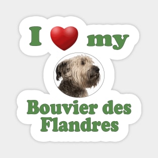 I Love My Bouvier des Flandres Magnet