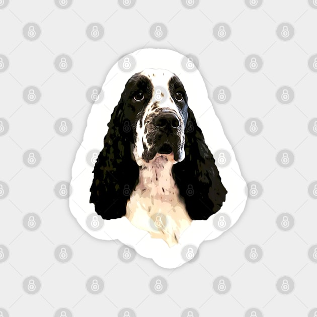 Cocker Spaniel Black and White Beauty Magnet by ElegantCat