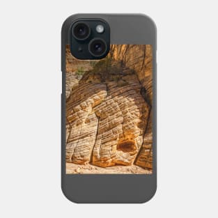 Lick Wash Trail Hike Phone Case