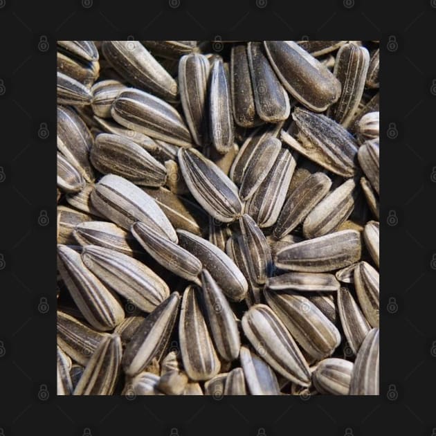 Sunflower Seeds Photo by DesignIndex