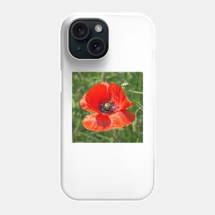 Somme Poppy, Flanders Fields, Belgium Phone Case