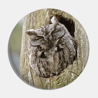 Sleeping Screech Owl Pin