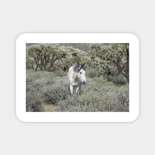 Wild horses, wildlife, gifts, Arizona, Lone Spirit Magnet