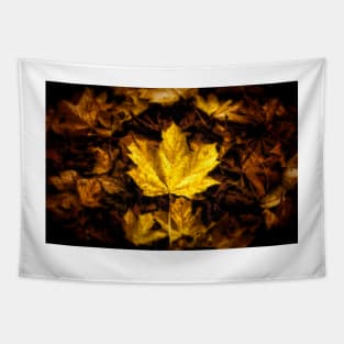 Maple Leaf - Autumn Leaves Tapestry