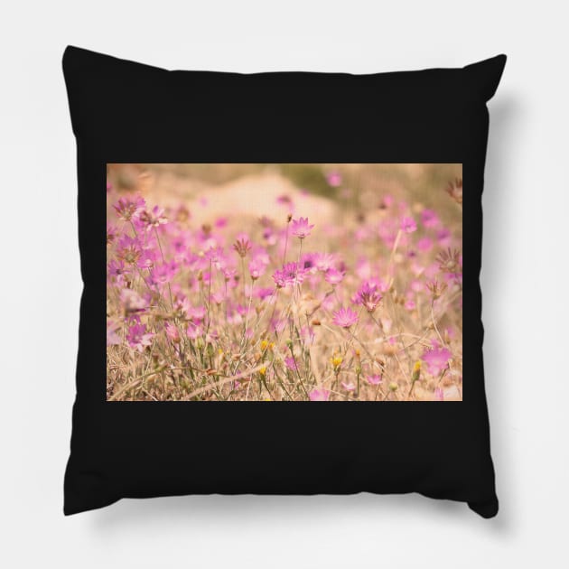 Wild pink meadow flowers, nature photography, delicate colors Pillow by KINKDesign