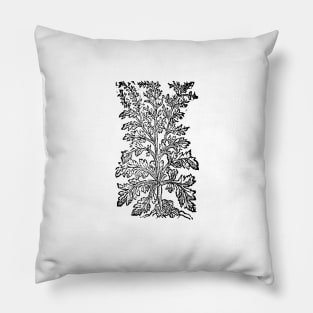 Plant Woodcut Pillow