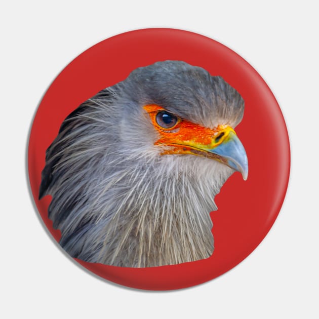 Majestic head of a Secretary Bird Pin by dalyndigaital2@gmail.com