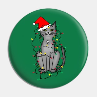 Christmas Lights Cat Pin