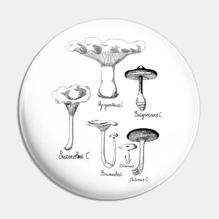 Wild Mushroom | For Fungi Foraging Fungiphiles Pin