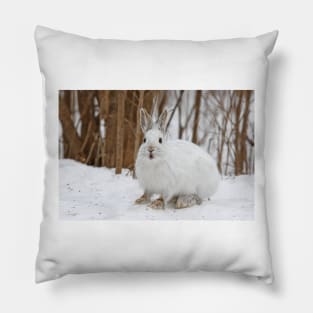 Snowshoe Hare Pillow