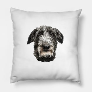 Scottish Deerhound Beauty Pillow