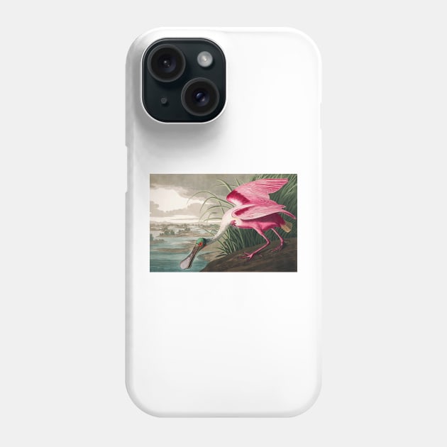 Roseate Spoonbill Robert Havell after John James Audubon 1827 Art Print Phone Case by ZiggyPrint