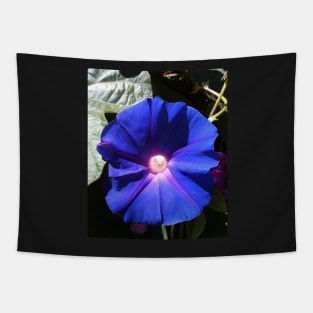 Blue Morning Glory: Good Morning World! Tapestry