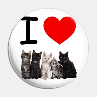 I HEART KITTENS Pin