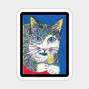 colorful cat Magnet