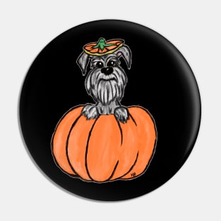 Schnauzer in a Pumpkin Pin