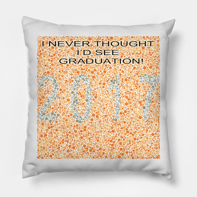 Class of 2017 Pillow by In-Situ