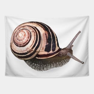 White-Lipped Snail / Cepaea hortensi Tapestry