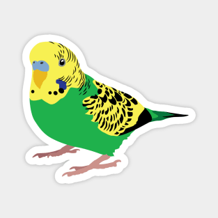 Green Budgie Magnet