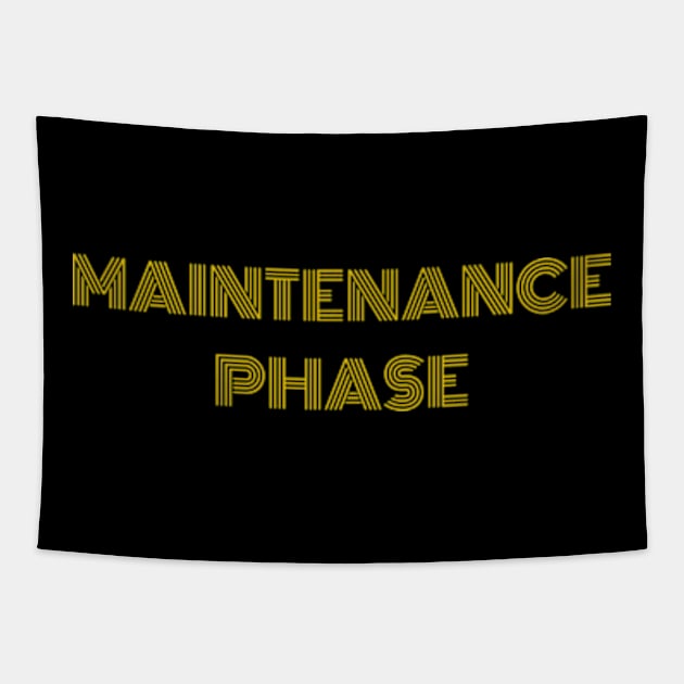 maintenance phase Tapestry by soft and timeless