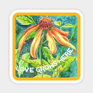 Love Grows Here Magnet