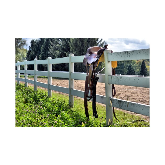 Saddle on the Fence by bgaynor