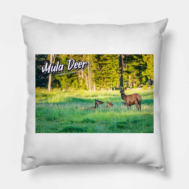 Mule Deer at Yellowstone Pillow by Gestalt Imagery