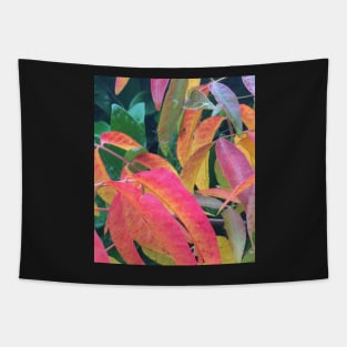 Rainbow Fall Leaves - The Autumn of Every Color Tapestry