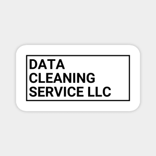 Data Cleaning Service LLC - Data! Magnet