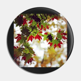 Instagram Maple Leaves Hokkaido Pin