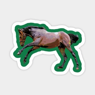 2017 Horse 01 Magnet