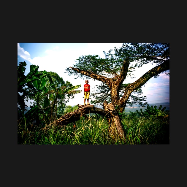 Boy on tree-amazing images by NP-Pedia