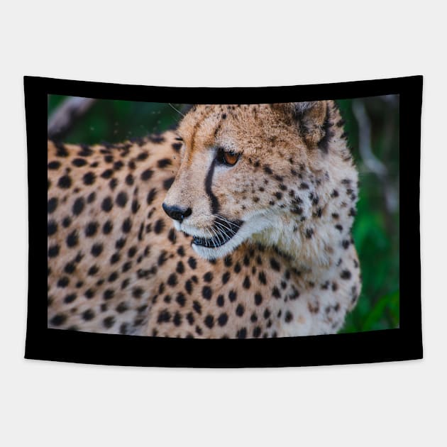 Wild life design Tapestry by GenesisClothing