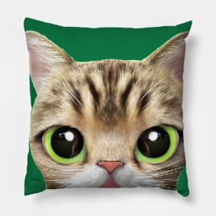 The Caaat Pillow