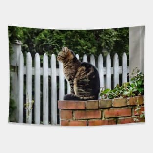 Tabby Cat on Brick Wall Tapestry