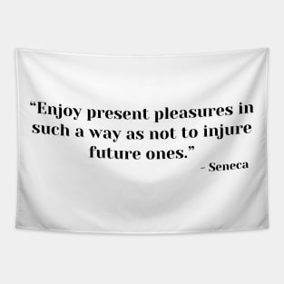 “Enjoy present pleasures in such a way as not to injure future ones.” Lucius Annaeus Seneca Tapestry