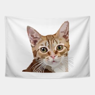 Orange Tabby Tapestry