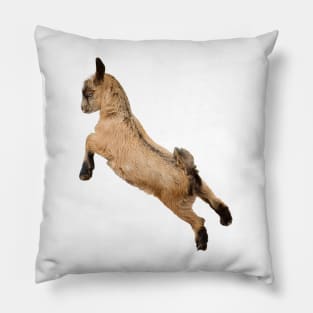 Bouncing Baby Goat 7 Pillow