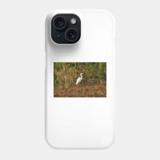 Great white heron in Shallotte Phone Case