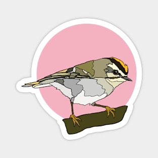 Golden Crowned Kinglet Magnet