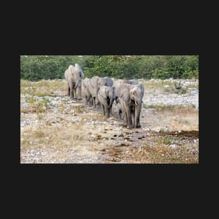 Elephants in a line. T-Shirt