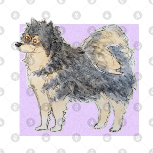 Finnish lapphund by bitingnclawing