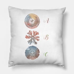 Paenibacillus dendritiformis bacteria colonies Pillow