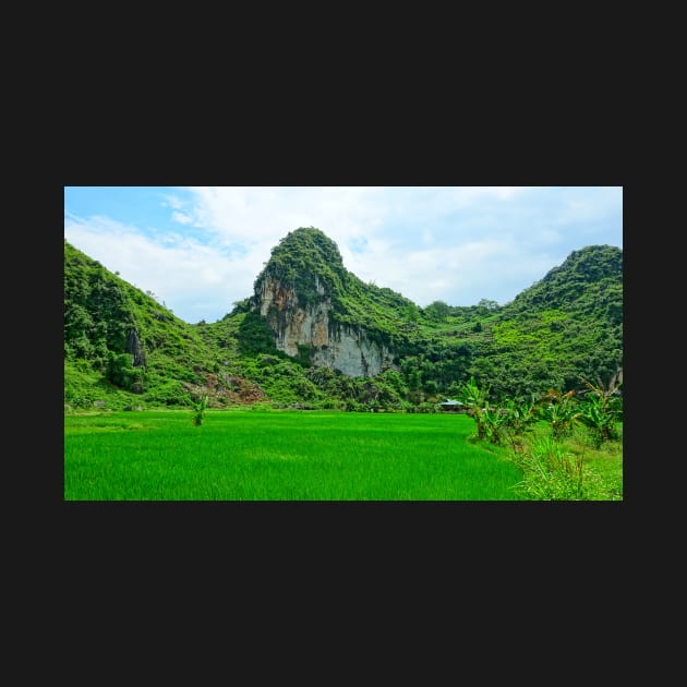 Vietnam - Route de Ha Giang à Dong Van. Plateau karstique by franck380