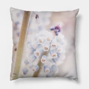 Muscari Art Print | Flower Photography | Atmospheric Grape Hyacinth Close-up Pillow