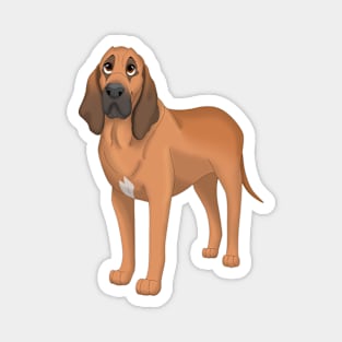 Bloodhound Dog Magnet